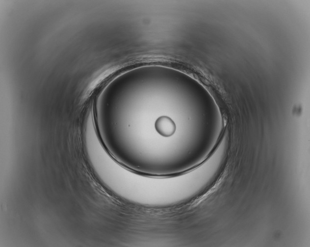 X0000090711453200707271121