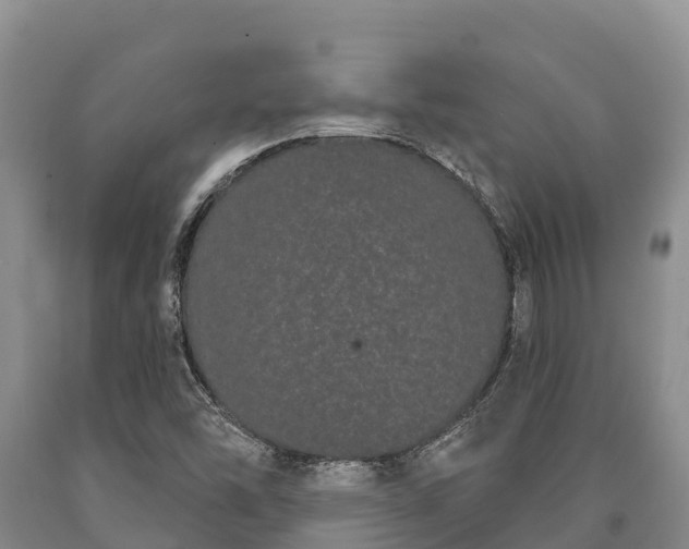 X0000090711454200707271121