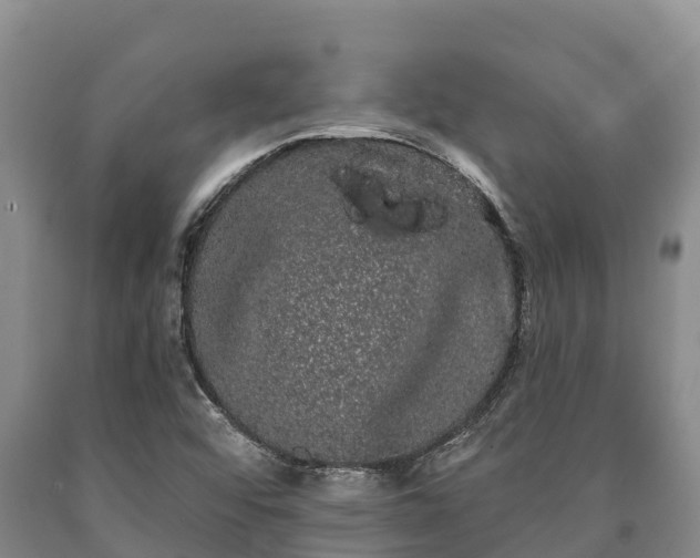 X0000090711456200707271121