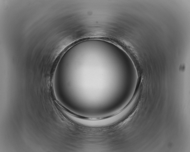 X0000090711457200707271121