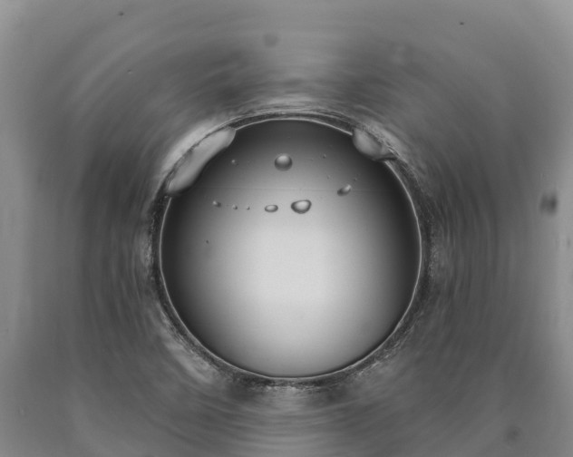 X0000090711458200707271121