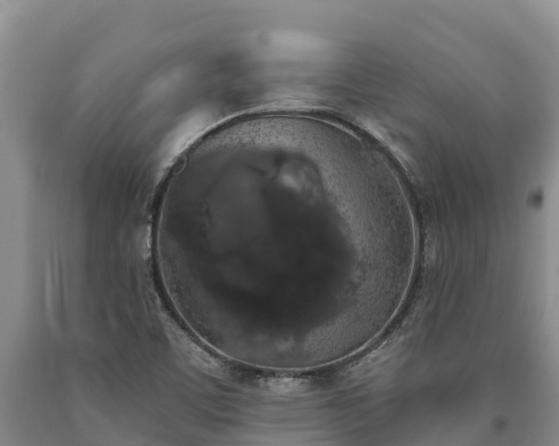 X0000090711459200707271121