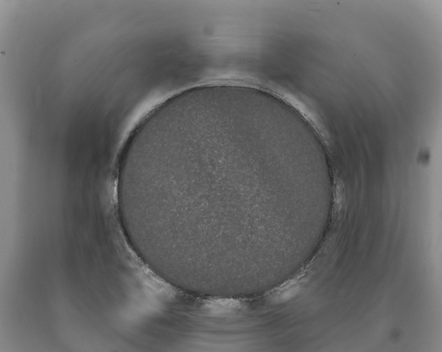 X0000090711462200707271121