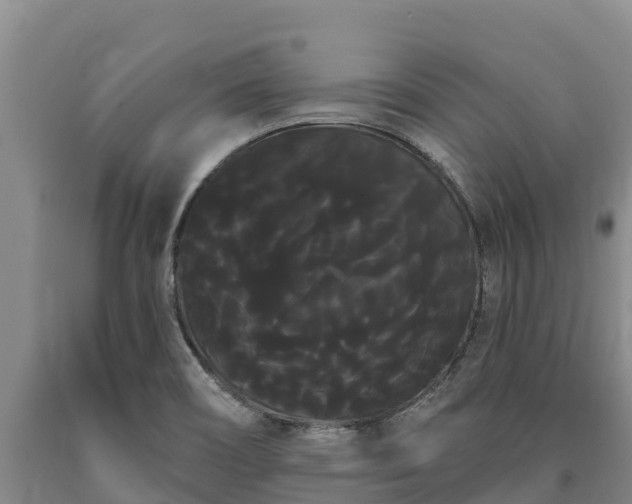 X0000090711466200707271121