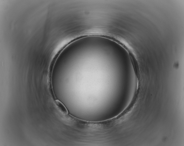 X0000090711469200707271121