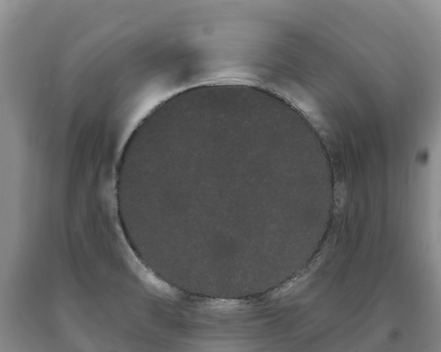 X0000090711470200707271121