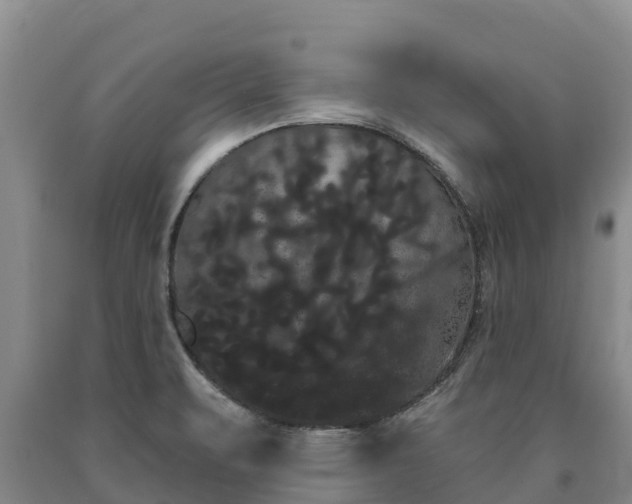 X0000090711471200707271121