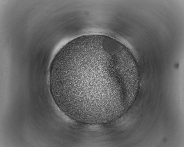 X0000090711472200707271121