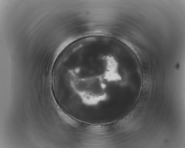 X0000090711474200707271121