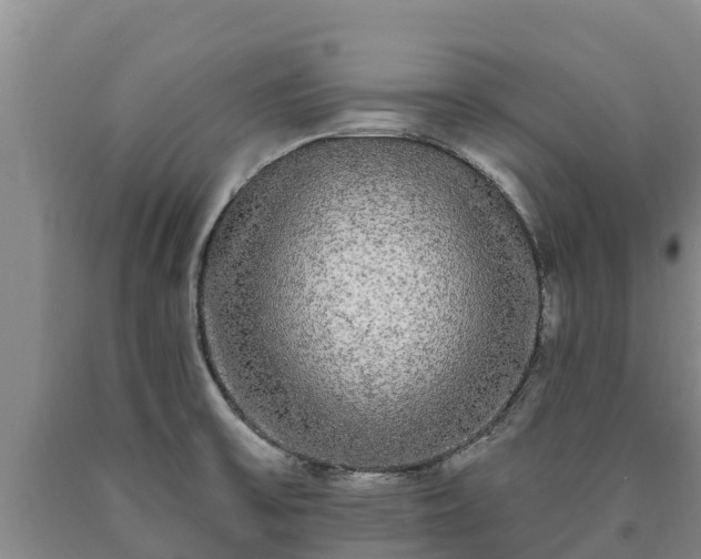 X0000090711475200707271121