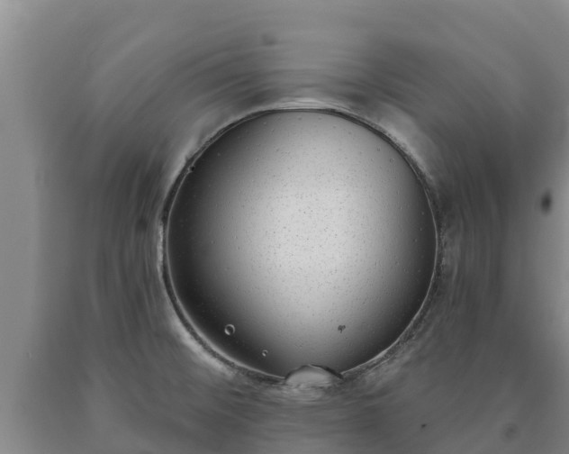 X0000090711476200707271121