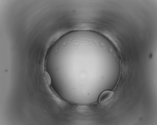 X0000090711477200707271121