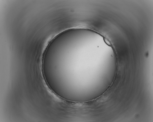 X0000090711480200707271121