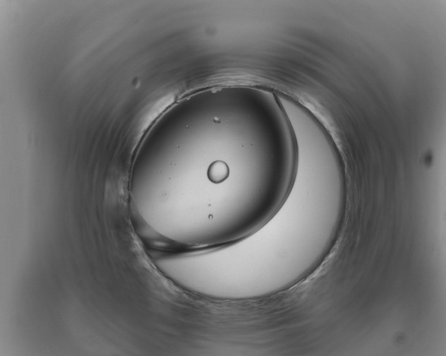 X0000090711481200707271121