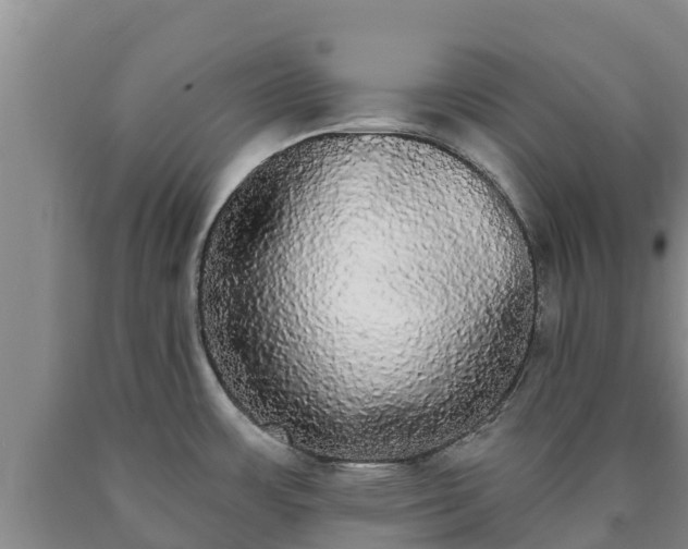 X0000090711483200707271121