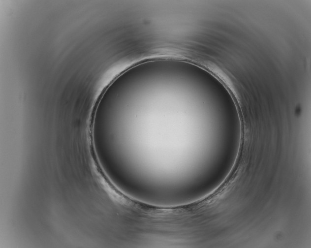 X0000090711485200707271121