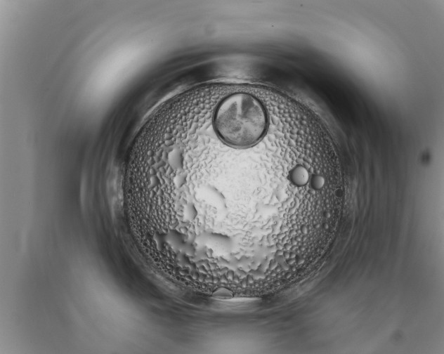 X0000090711487200707271121