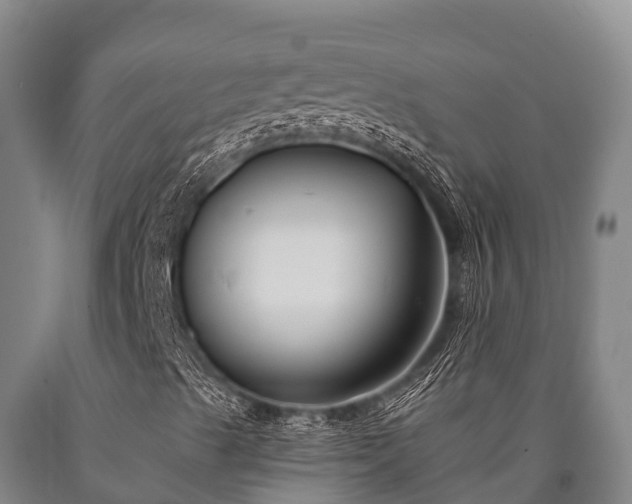 X0000090711489200707271120