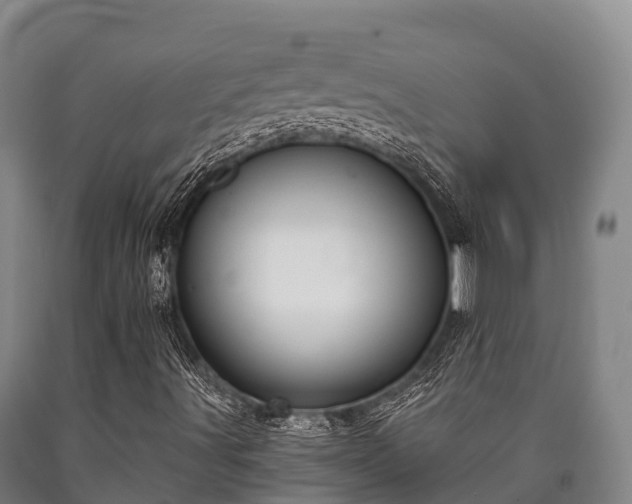 X0000090711491200707271120