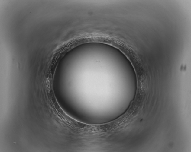 X0000090711493200707271120