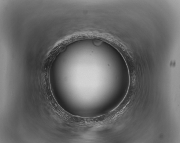 X0000090711494200707271120