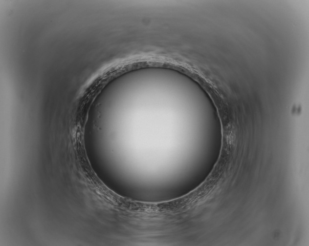 X0000090711495200707271120