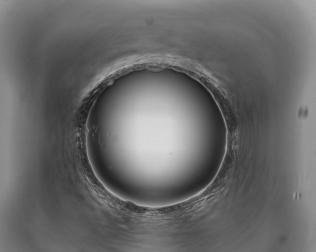 X0000090711496200707271120