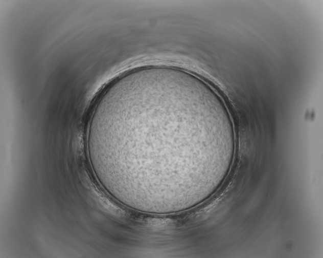 X0000090711498200707271120