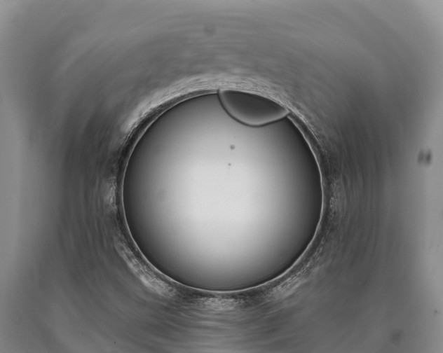 X0000090711499200707271120