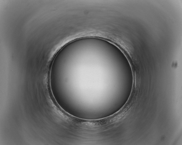 X0000090711500200707271120