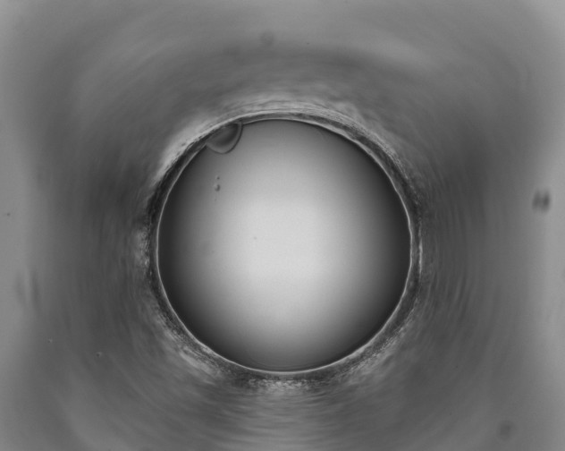 X0000090711501200707271120