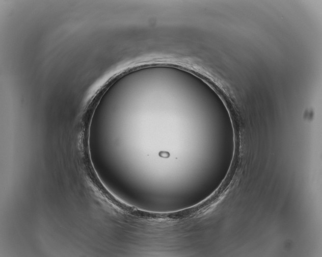 X0000090711502200707271120