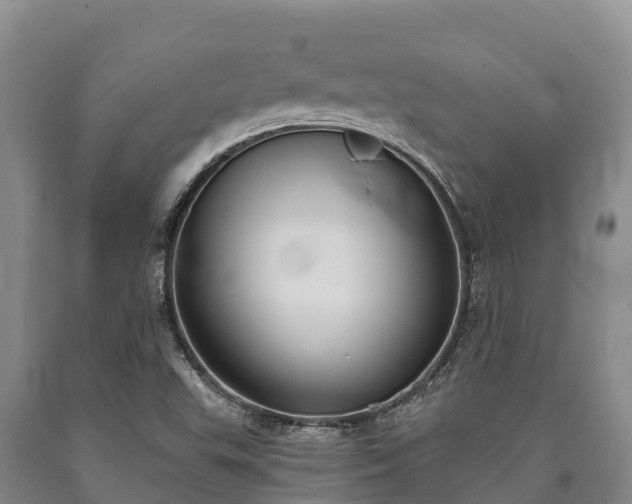 X0000090711503200707271120