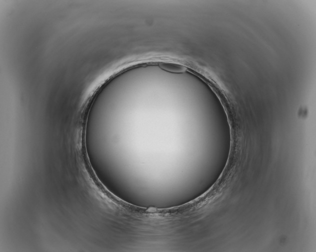 X0000090711504200707271120