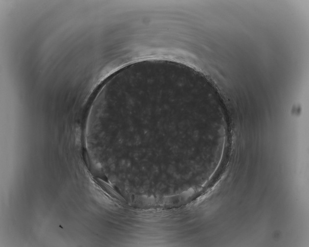 X0000090711505200707271120