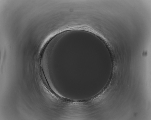 X0000090711506200707271120