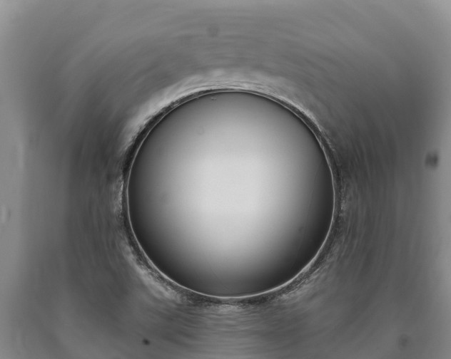 X0000090711507200707271120