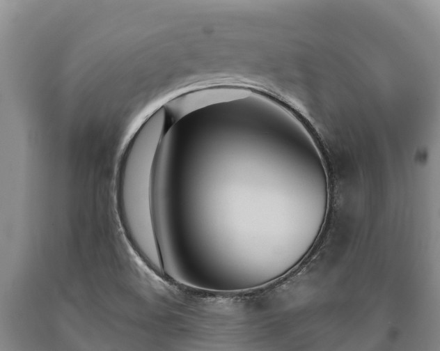 X0000090711508200707271120