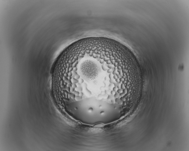 X0000090711509200707271120