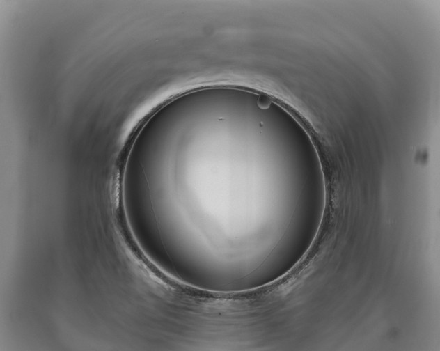 X0000090711510200707271120