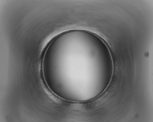 X0000090711511200707271120