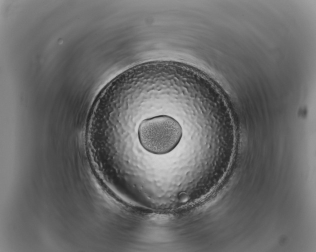 X0000090711513200707271120