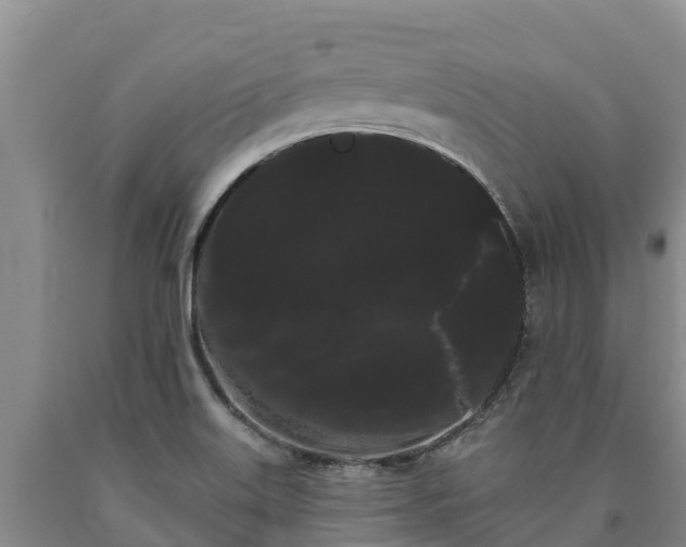 X0000090711515200707271120