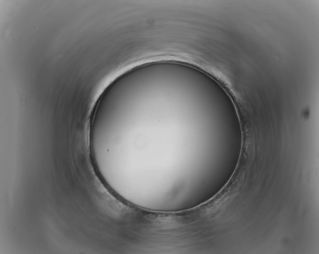 X0000090711516200707271120