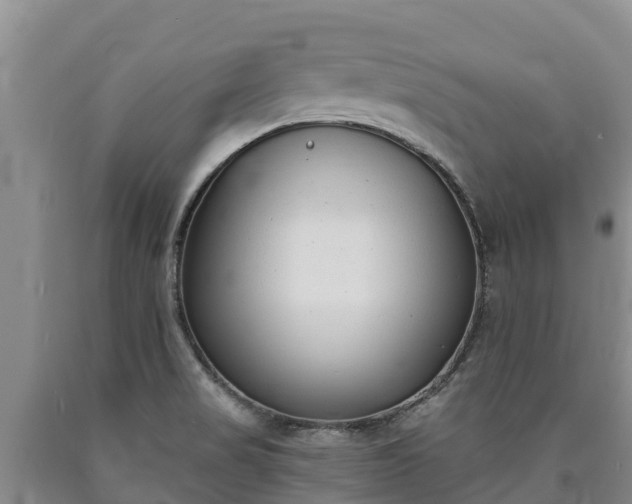 X0000090711517200707271120