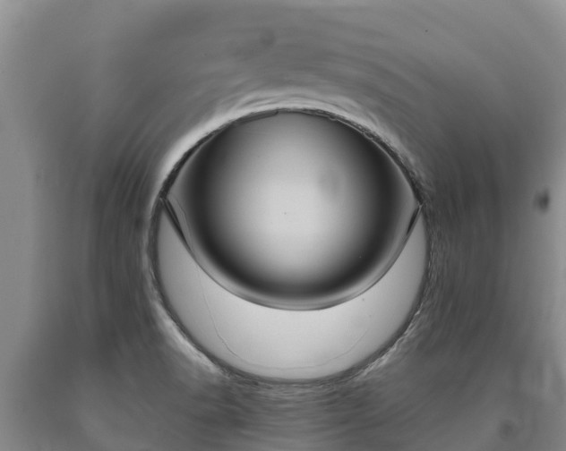 X0000090711518200707271120