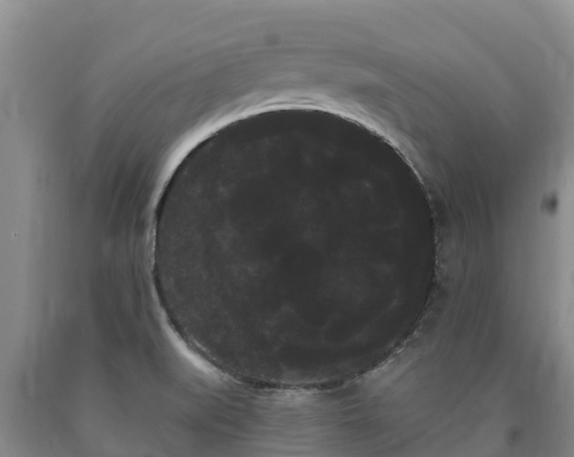 X0000090711519200707271121