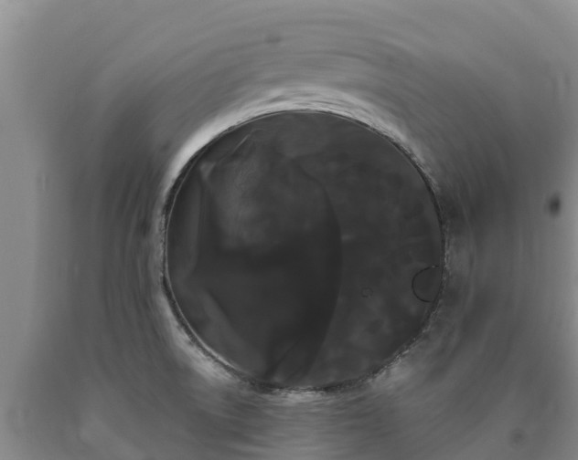 X0000090711522200707271121