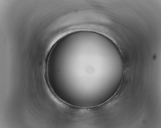 X0000090711523200707271121