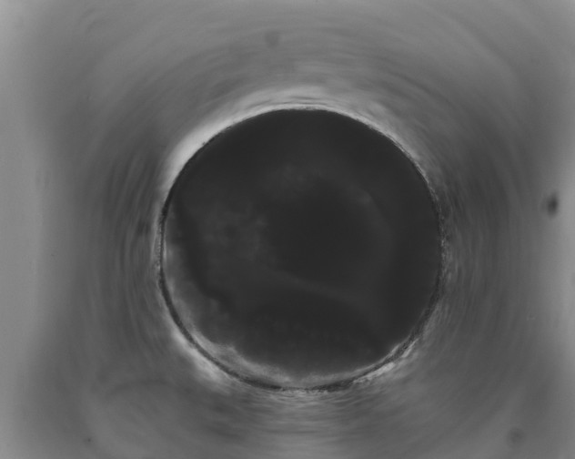 X0000090711527200707271121